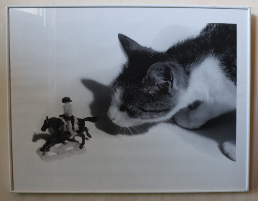 [Zonder titel], Hester Oerlemans