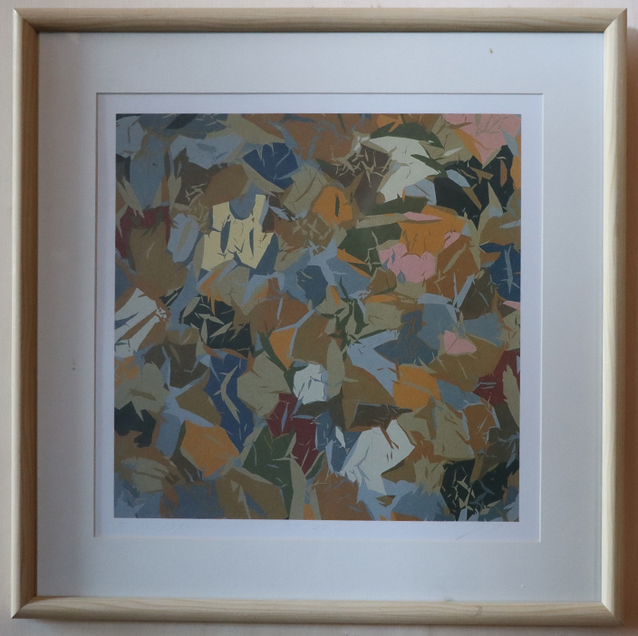 [Zonder titel], Jasper van der Graaf